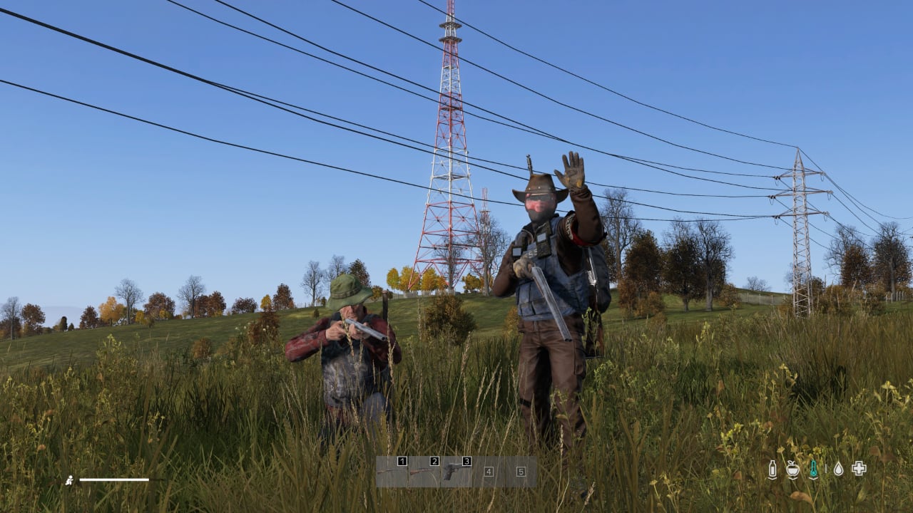 DayZ