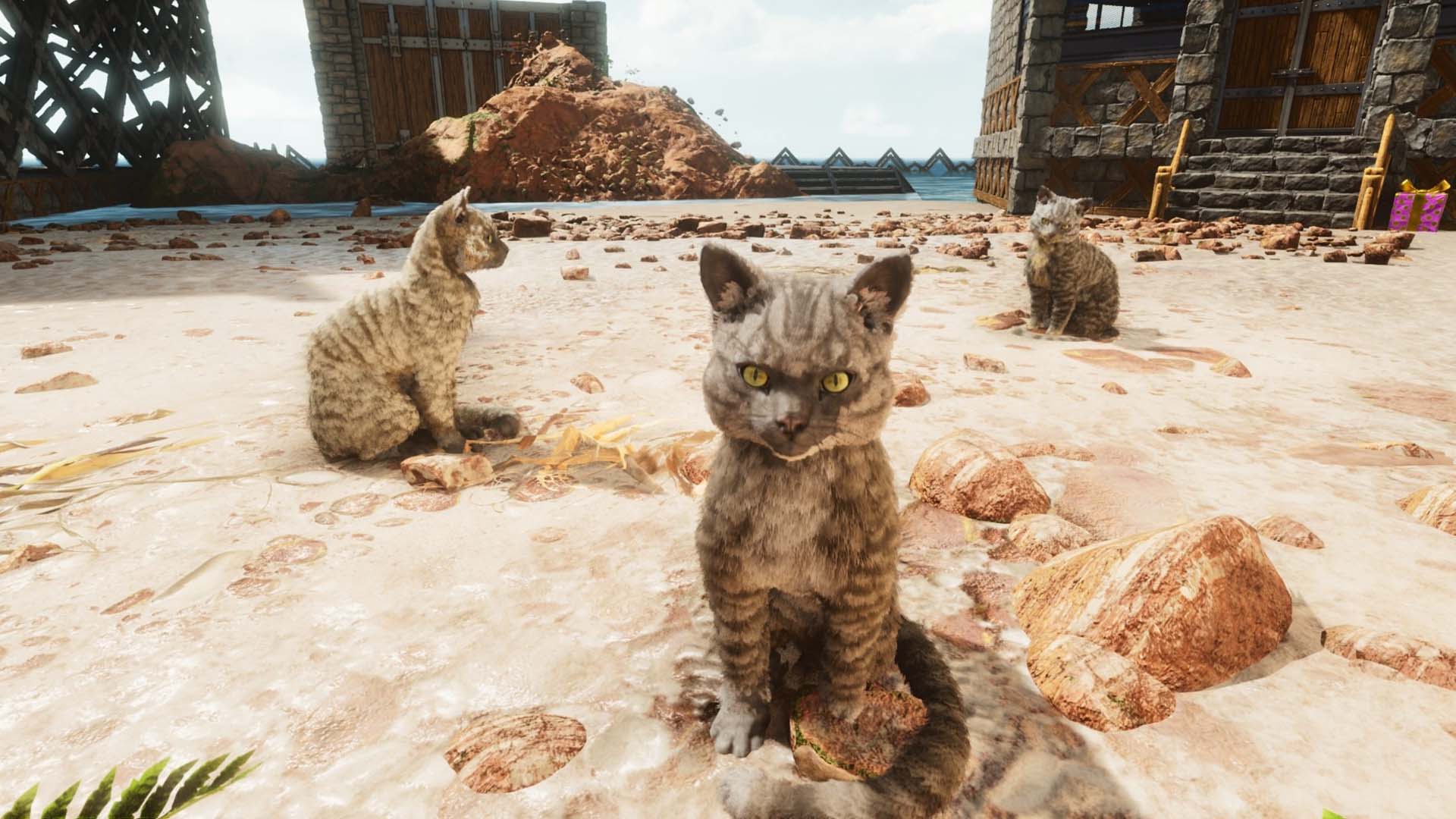 ARK