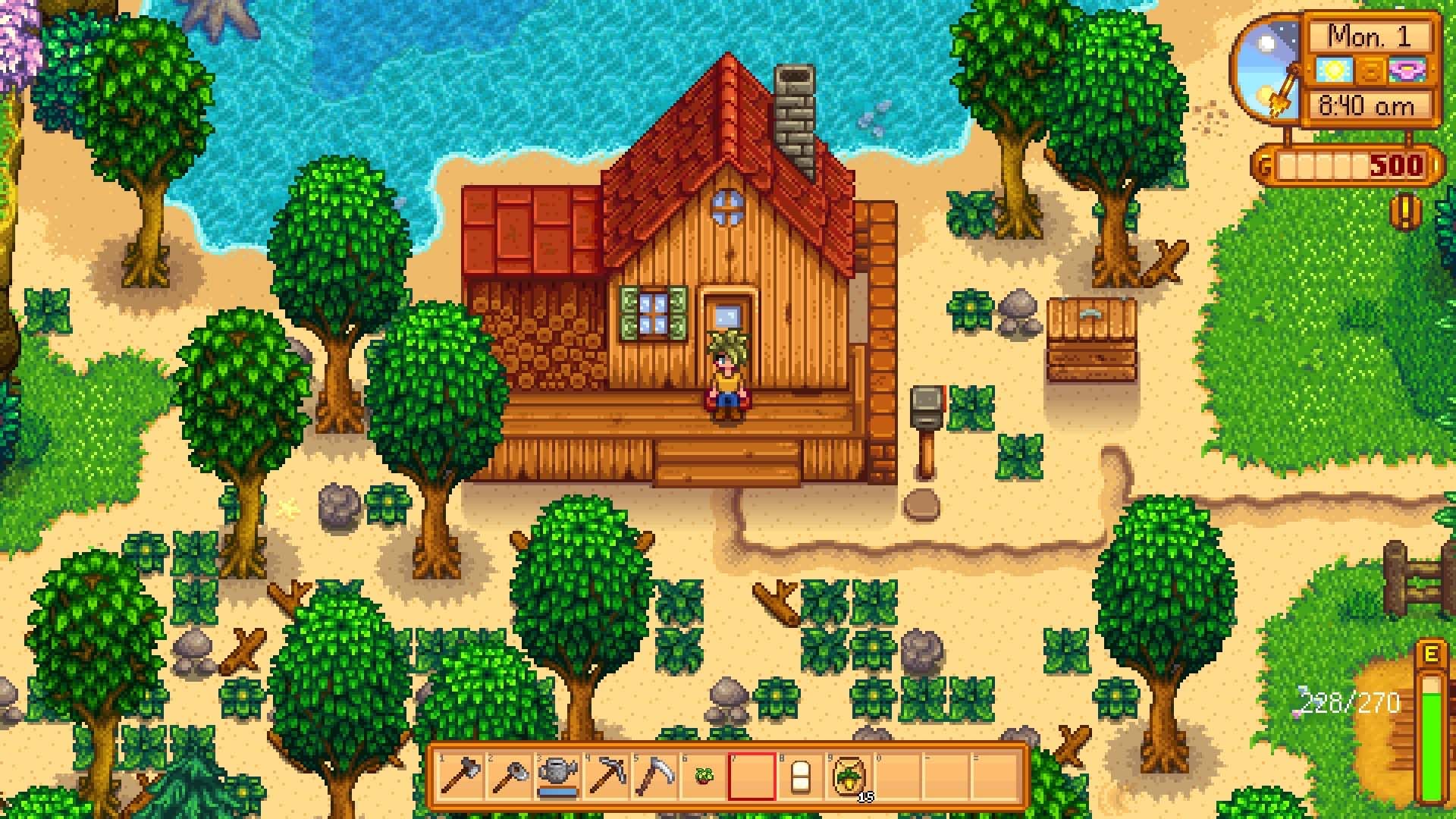 Stardew Valley